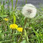 ヒメ日記 2026/04/06 16:18 投稿 上原あまね 東京不倫～とうきょうふりん～