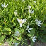 ヒメ日記 2026/04/22 08:28 投稿 上原あまね 東京不倫～とうきょうふりん～