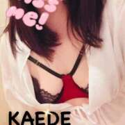 ヒメ日記 2026/04/12 01:00 投稿 かえで 華椿（YESグループヨコハマ）