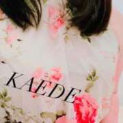 ヒメ日記 2026/04/14 11:28 投稿 かえで 華椿（YESグループヨコハマ）