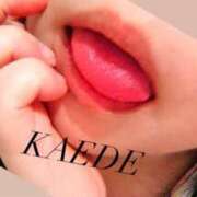 ヒメ日記 2026/04/14 14:30 投稿 かえで 華椿（YESグループヨコハマ）