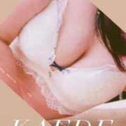 ヒメ日記 2026/04/14 17:42 投稿 かえで 華椿（YESグループヨコハマ）