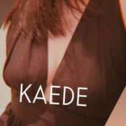 ヒメ日記 2026/04/16 10:15 投稿 かえで 華椿（YESグループヨコハマ）