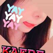 ヒメ日記 2026/04/16 13:30 投稿 かえで 華椿（YESグループヨコハマ）