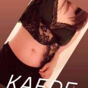 ヒメ日記 2026/04/18 11:35 投稿 かえで 華椿（YESグループヨコハマ）