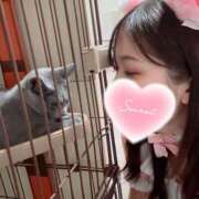 ヒメ日記 2026/04/04 08:28 投稿 すず ハピネス＆ドリーム 松山道後温泉