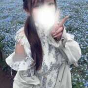 ヒメ日記 2026/04/30 21:33 投稿 かのん spicyな女たち