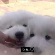 ちほ お休みもらってました🙇🏻‍♀️ ZERO