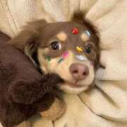 ヒメ日記 2026/04/05 08:02 投稿 ちほ ZERO