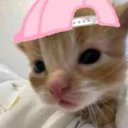 ちほ おはよ出勤です！ ZERO