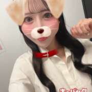 りりか 可愛がってね🐶‎🤍 エマニエル秋葉原