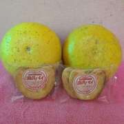 ヒメ日記 2025/02/06 06:43 投稿 かな タレントCLUB