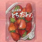 ヒメ日記 2025/04/10 08:05 投稿 かな タレントCLUB