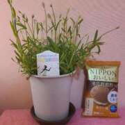 ヒメ日記 2026/04/10 08:49 投稿 かな タレントCLUB