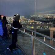 ヒメ日記 2026/04/02 09:49 投稿 うさぎ スピードエコ日本橋店