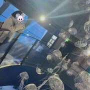 ヒメ日記 2026/04/11 20:33 投稿 うさぎ スピードエコ日本橋店