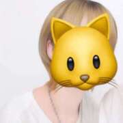 ヒメ日記 2026/04/20 00:39 投稿 うさぎ スピードエコ日本橋店