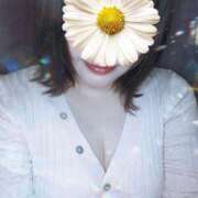 ヒメ日記 2026/04/09 16:00 投稿 まみ ぷるるんマダム 十三店