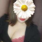 ヒメ日記 2026/04/14 17:21 投稿 まみ ぷるるんマダム 十三店