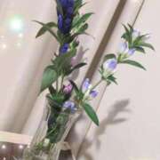ヒメ日記 2026/08/14 09:50 投稿 まみ ぷるるんマダム 十三店