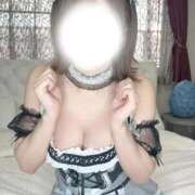 ヒメ日記 2026/04/22 10:53 投稿 らん Versailles