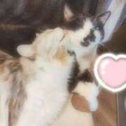 ヒメ日記 2026/03/28 19:01 投稿 ゆりな CUTE