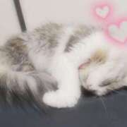 ヒメ日記 2026/04/10 07:16 投稿 ゆりな CUTE