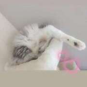 ヒメ日記 2026/08/06 12:46 投稿 ゆりな CUTE