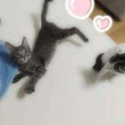ヒメ日記 2026/09/23 00:16 投稿 ゆりな CUTE