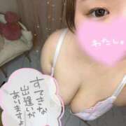 ヒメ日記 2026/03/28 12:35 投稿 つむぎ 茨城水戸ちゃんこ