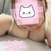 ヒメ日記 2026/03/30 12:45 投稿 つむぎ 茨城水戸ちゃんこ