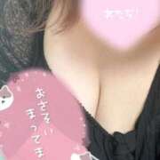 ヒメ日記 2026/03/31 18:02 投稿 つむぎ 茨城水戸ちゃんこ