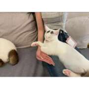 ヒメ日記 2026/04/09 12:13 投稿 李都（りと） Bijou R