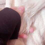 ヒメ日記 2026/04/04 02:16 投稿 【新人】あいか 神奈川小田原ちゃんこ