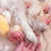 ヒメ日記 2026/04/04 20:46 投稿 【新人】あいか 神奈川小田原ちゃんこ