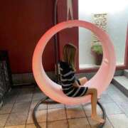 ヒメ日記 2026/04/20 15:50 投稿 ラブブ 【福岡デリヘル】20代・30代★博多で評判のお店はココです！