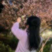 ヒメ日記 2026/04/05 23:14 投稿 後藤 ゆうり プルプルオフィスディーバ