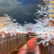 ヒメ日記 2026/04/07 09:21 投稿 Ritsu THE PREMIUM （プレミアム）