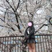 ヒメ日記 2026/04/07 17:20 投稿 ひとみ clubさくら梅田店