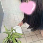 ヒメ日記 2026/04/18 15:05 投稿 ひとみ clubさくら梅田店