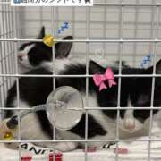 ヒメ日記 2026/05/31 15:35 投稿 ひとみ clubさくら梅田店
