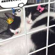 ヒメ日記 2026/06/08 15:55 投稿 ひとみ clubさくら梅田店