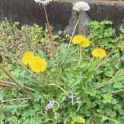 ヒメ日記 2026/04/07 08:57 投稿 めたもん 上野　御徒町オトナのハンドメイド