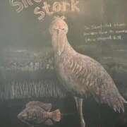 みお おは~ お姉さんSelect