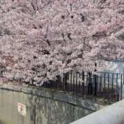 みお 桜の民 お姉さんSelect