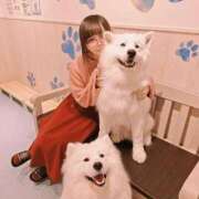 ヒメ日記 2026/04/05 13:48 投稿 ニューハーフしずくちゃん ロイヤル　アテンダー