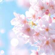 ヒメ日記 2026/03/30 17:23 投稿 和泉 はるか 千葉Grand Mrs.