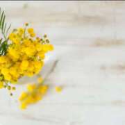 ヒメ日記 2026/04/20 08:51 投稿 和泉 はるか 千葉Grand Mrs.