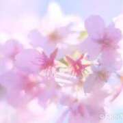 まいこ はじめまして 横浜おかあさん