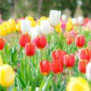 ヒメ日記 2026/04/04 08:18 投稿 まいこ 横浜おかあさん